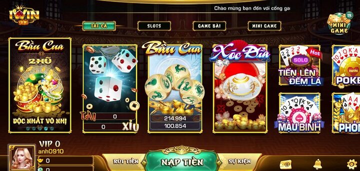 Sơ lược về trang cá cược đình đám iwin68