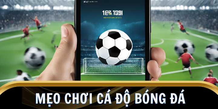 Mẹo chơi cá độ bóng đá không bao giờ thua lỗ từ cao thủ