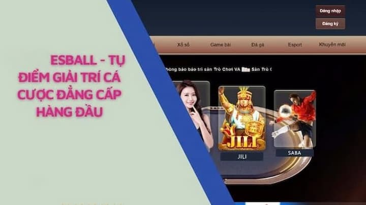 Tổng quan về trang cá cược ESBALL