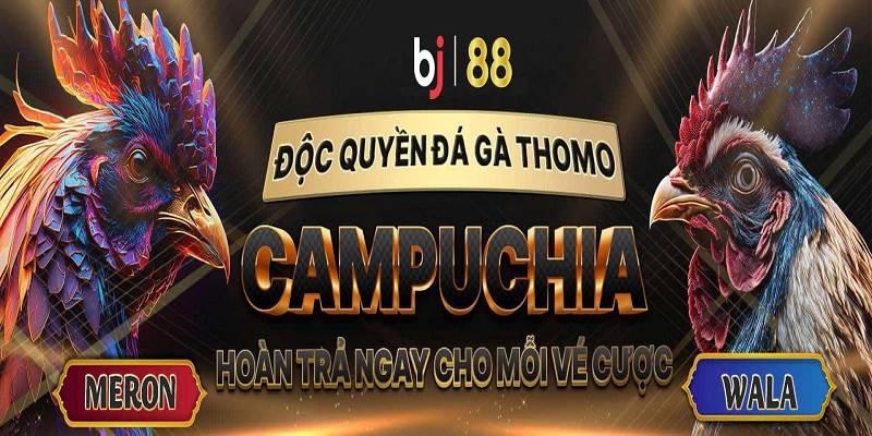 Tại sao BJ88 được ưa chuộng?