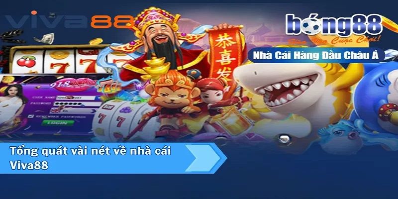 Giới thiệu chung về nhà cái Viva88