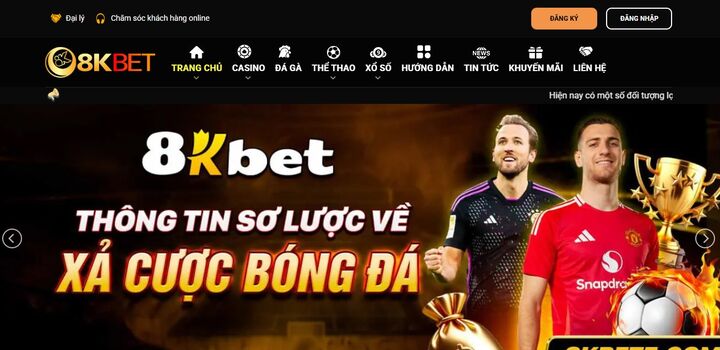 Sơ lược về nhà cái cá cược trực tuyến 8kbet