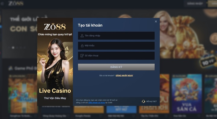 FAQs: Giải đáp câu hỏi thường gặp về Zo88